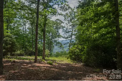 Tbd Reserve Road #16, Pisgah Forest, NC 28768 - Photo 3