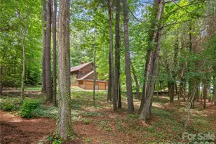 11 Tree Top Dr, Arden, NC 28704 - Photo 9