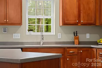 163 Longview Drive, Hendersonville, NC 28791 - Photo 9