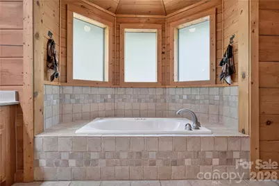 335 Whites Lake Boulevard, Saluda, NC 28773 - Photo 25
