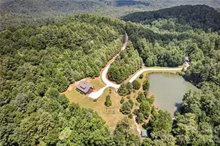 335 Whites Lake Blvd, Saluda, NC 28773 - Photo 3