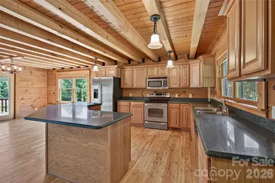 335 Whites Lake Boulevard, Saluda, NC 28773 - Photo 13
