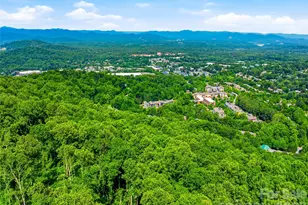 52 Chapel Hill Church Rd, Asheville, NC 28803 - Photo 37