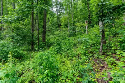 334 Carriage Crest Drive, Hendersonville, NC 28791 - Photo 5