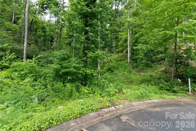 334 Carriage Crest Drive, Hendersonville, NC 28791 - Photo 3