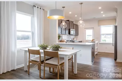 10010 Limpkin Lane, Charlotte, NC 28278 - Photo 5