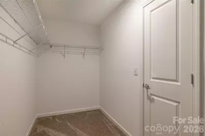 10010 Limpkin Lane, Charlotte, NC 28278 - Photo 17