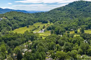 807 N Cherokee Ave, Black Mountain, NC 28711 - Photo 15