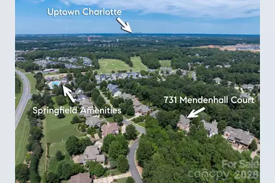 731 Mendenhall Court, Fort Mill, SC 29715 - Photo 5