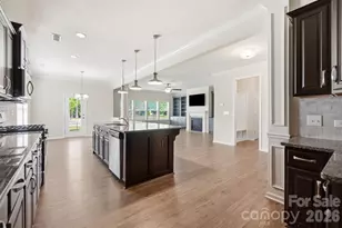 3537 Arnica Ct, Fort Mill, SC 29708 - Photo 17