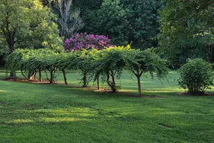 3538 Back Creek Church Rd, Charlotte, NC 28213 - Photo 13