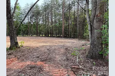 328 Southern Way, Nebo, NC 28761 - Photo 11