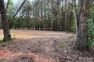 328 Southern Way, Nebo, NC 28761 - Photo 11