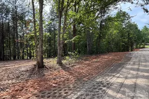 328 Southern Way, Nebo, NC 28761 - Photo 21