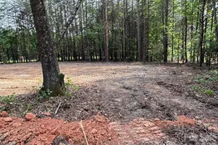 328 Southern Way, Nebo, NC 28761 - Photo 13