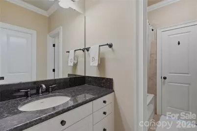 18527 Carnegie Overlook Boulevard, Davidson, NC 28036 - Photo 31