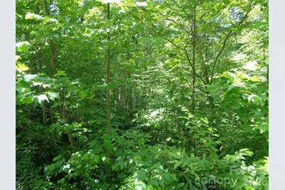 Lot 6 Peaks Creek Trail, Maggie Valley, NC 28751 - Photo 7