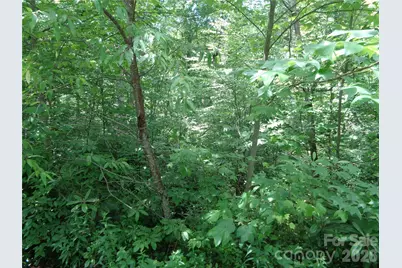 Lot 6 Peaks Creek Trail, Maggie Valley, NC 28751 - Photo 5