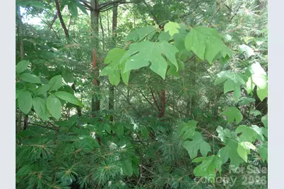 Lot 6 Peaks Creek Trail, Maggie Valley, NC 28751 - Photo 3