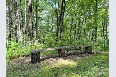 85 Lady Slipper Trail, Hot Springs, NC 28743 - Photo 43
