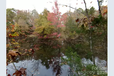 627 Bolick Road, Indian Land, SC 29707 - Photo 13
