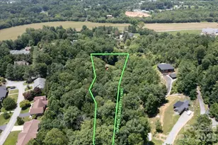 134 Valle Way, Hendersonville, NC 28739 - Photo 31