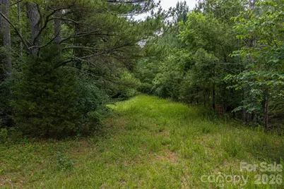000 Logan Land Road, Lincolnton, NC 28092 - Photo 3