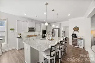 2128 Lapalma Trce, Lake Wylie, SC 29710 - Photo 11