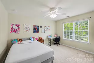 9530 Reid Hall Ln, Matthews, NC 28105 - Photo 27