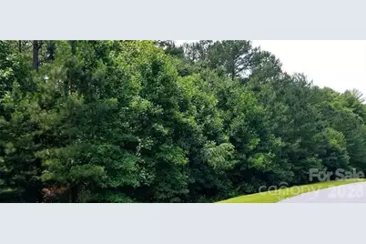 210 Harbor Ridge Drive, Connelly Springs, NC 28612 - Photo 1