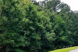 210 Harbor Ridge Dr, Connelly Springs, NC 28612 - Photo 1