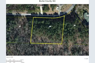 210 Harbor Ridge Drive, Connelly Springs, NC 28612 - Photo 7