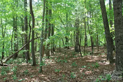 000 Northview Drive #13, Hendersonville, NC 28791 - Photo 7