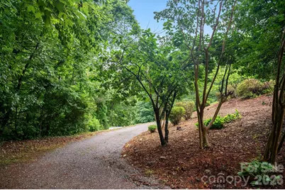 825 Gallimore Road, Flat Rock, NC 28731 - Photo 13