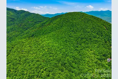 999 Miller Cove Road, Black Mountain, NC 28711 - Photo 15