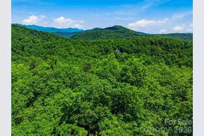 999 Miller Cove Road, Black Mountain, NC 28711 - Photo 13