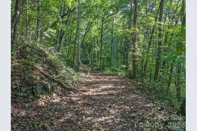 10 Beaverbrook Court, Asheville, NC 28804 - Photo 45