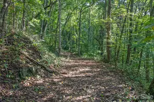 10 Beaverbrook Ct, Asheville, NC 28804 - Photo 45