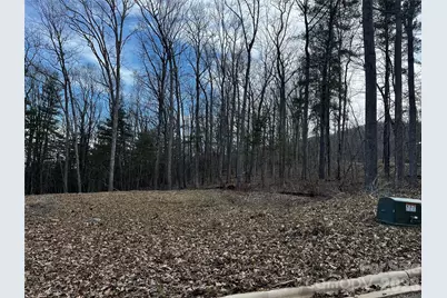 105 Woodland Meadows Drive #Tract A & B, Asheville, NC 28803 - Photo 5
