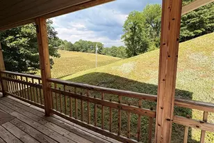 299 McDowell Ln, Burnsville, NC 28714 - Photo 47