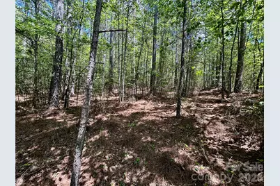 1074 W Hidden Cove Lane, Connelly Springs, NC 28612 - Photo 3