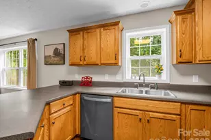 271 Collinsville Rd, Columbus, NC 28722 - Photo 21