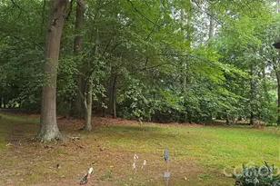 565 Bonum Rd, Lake Wylie, SC 29710 - Photo 11
