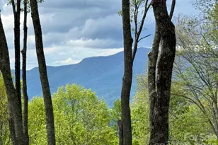 1817 E Reach Rd, Sylva, NC 28779 - Photo 1