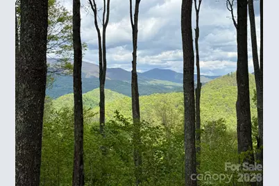 1817 E Reach Road #216, Sylva, NC 28779 - Photo 3