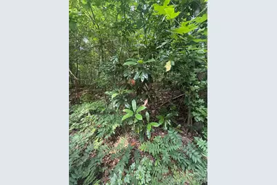 0000 S Lineberry Street, Troy, NC 27371 - Photo 3
