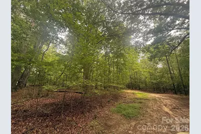 0 S Lineberry Street, Troy, NC 27371 - Photo 3