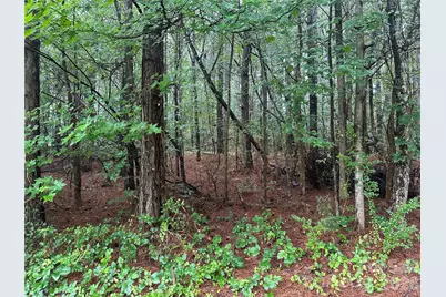 000 Young Road, Bessemer City, NC 28016 - Photo 3