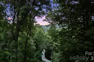 466 Sweetwater Ln, Pisgah Forest, NC 28768 - Photo 45