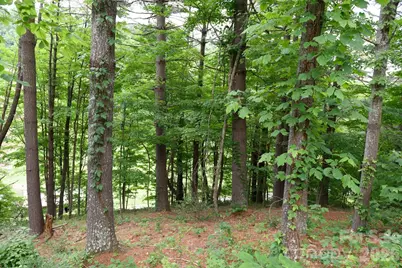 Tbd Sycamore Road, Vilas, NC 28692 - Photo 19